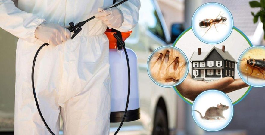 Başmakçı Böcek İlaçlama