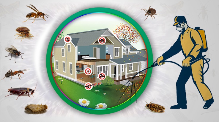 Başmakçı Böcek İlaçlama