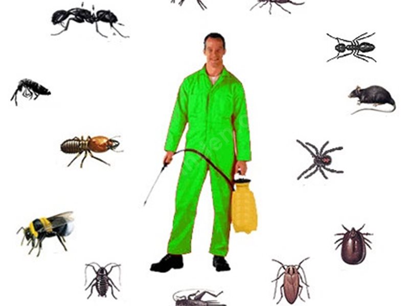 Başmakçı Böcek İlaçlama