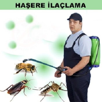 Başmakçı Böcek İlaçlama